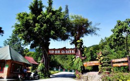 Biểu phí tham quan 6 vườn quốc gia trong nước