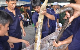 Phát hiện hơn 500kg ngà voi qua cảng Cát Lái