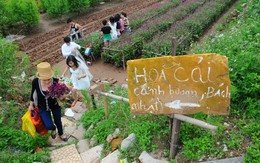 Khi nhà vườn treo bảng 'coi chừng chó dữ' để chống... 'phượt'!