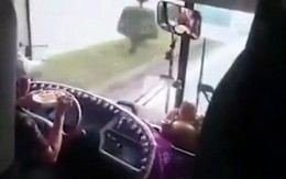 Thôi việc tài xế vừa lái xe vừa ăn mì