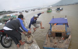 Tàu cá nhỏ: bỏ thì thương, vương thì tội