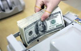 Đừng chộn rộn với tỉ giá