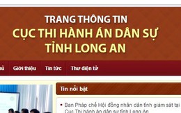 Khiển trách Cục trưởng thi hành án dân sự Long An