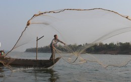 Cần chấm dứt dự án cải tạo dòng Mekong