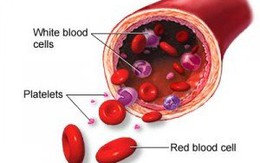Xuất huyết giảm tiểu cầu nguy hiểm không?