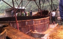 Một phụ nữ bị máy nghiền bột giấy cuốn chết