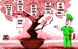 Ngày tết gặp trường hợp khẩn cấp, gọi số nào?