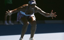 Venus Williams vào chung kết Giải Úc mở rộng 2017