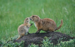 Xem ảnh trẻ em chụp đoạt giải nhiếp ảnh National Geographic