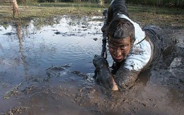 ​Những điều cần biết về bệnh nhiễm Leptospira