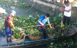 Tháng thanh niên ở Cần Thơ: Chung tay xây dựng văn minh