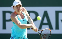 ​Radwanska và Halep chia tay Indian Wells 2017