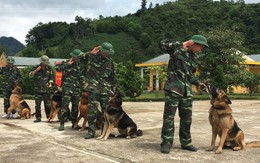'Đồng đội' đặc biệt