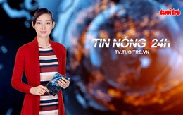 ​Tin nóng 24h: Sản lượng kém, giá thấp, nông dân trồng điều lao đao