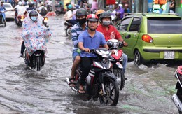 Nước cống trào ngược, đường Lê Văn Việt ngập lênh láng