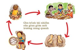 ​Bệnh giun kim ở trẻ nhỏ