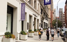 ​New York trở thành bang duy nhất của Mỹ phổ cập đại học