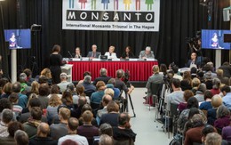 Tòa án quốc tế kết tội Monsanto hủy diệt môi trường Việt Nam