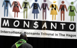 Monsanto: hủy diệt môi trường, đồng phạm chiến tranh...