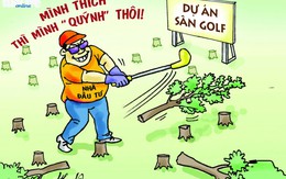 Phá rừng phòng hộ Phú Yên, căn bệnh của chín đa nghi