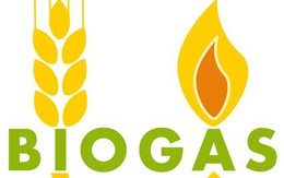 Sửa đường ống, ba anh em cùng chết dưới hố biogas