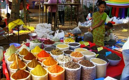 Panaji - 'thiên đường nhỏ' Ấn Độ bị lãng quên