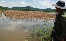 Thiệt hại lớn vì mưa đầu mùa