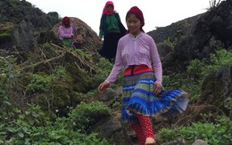 Kỳ cuối: Dân tộc tự do