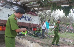 Kháng cáo vụ xe cẩu làm cúp điện toàn miền Nam