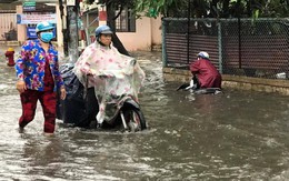 Thần đèn chào thua