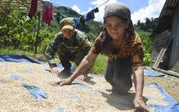 Xin đừng quên Pêtapoóc...