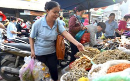 Người lao động lớn tuổi trước nguy cơ bị 'khuyến khích ra đi'