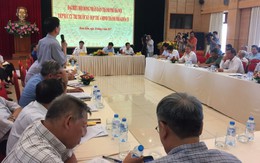 Cây xà cừ đánh lên khó trồng lại được