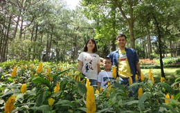 Gia đình là nơi bình yên