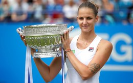 Pliskova lần đầu vô địch Giải Aegon International