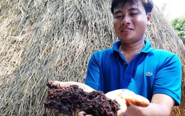 Lập nghiệp từ 10kg giun