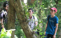 Lạc vào rừng lan ở 'lũng cá lóc'