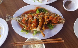 1,2 kg cá chim, nhà hàng 'chém' khách giá 600.000 đồng