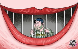 Anh về quy án, đời buồn hay vui?