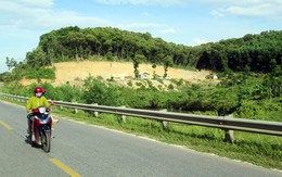Di sản rừng của 'tiến sĩ Lý huỵnh'