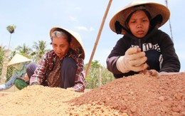Góp nhặt mồ hôi thành tiền đến lớp