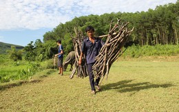 'Ba má còn đây, đừng đứa mô tính bỏ học'