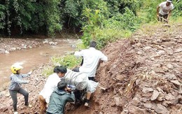 Đừng khóc, cô Phượng!