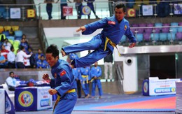 Võ sĩ vovinam bắt cướp