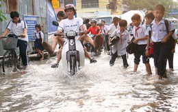 Nửa đêm thức giấc...