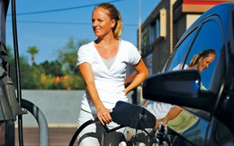 Bánh mì và giác đấu