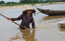 Người mò don già trên sông Trà