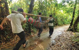 Gian nan đường lên núi Cấm