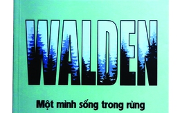 Về một cọng rơm bên đầm Walden 