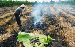 Những người U Minh hào sảng